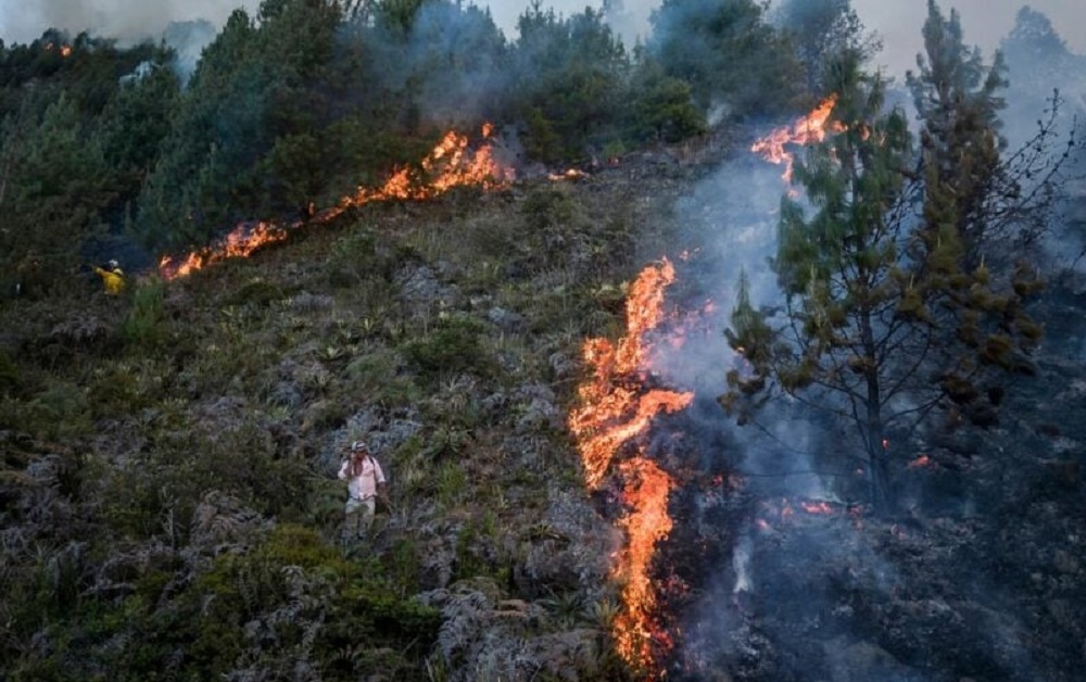 Kolumbia shpall gjendjen e fatkeqesise natyrore per shkak te zjarreve